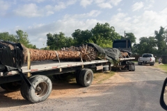 Kaius Landscaping & Construction