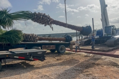 Kaius Landscaping & Construction