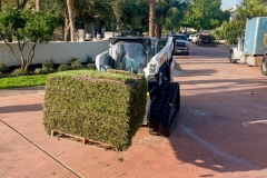Kaius Landscaping & Construction
