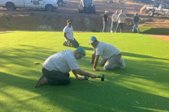 Artificial Grass - 1