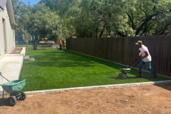 Artificial Grass - 1