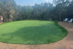 Artificial Grass - 1