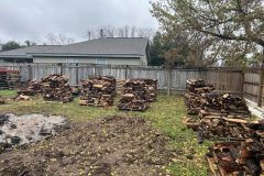Tree Trimming by Kaius Landscaping & Construction