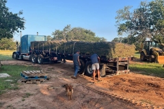 Sod-Installation-by-Kaius-Landscaping-and-Construction-2