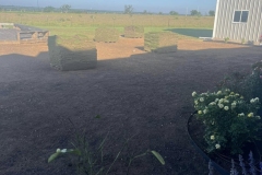 Sod-Installation-by-Kaius-Landscaping-and-Construction-8