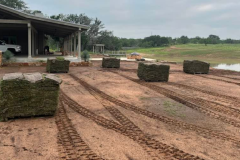 Sod Installation by Kaius Landscaping and Construction - 1
