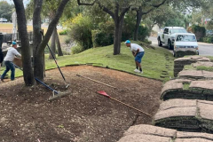 Sod Installation by Kaius Landscaping and Construction - 1