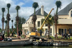 Tree Service by Kaius Landscaping and Construction - 1