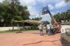 Tree-Services-by-Kaius-Landscaping-and-Construction-3