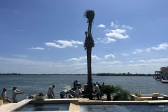 Tree-Services-by-Kaius-Landscaping-and-Construction-4