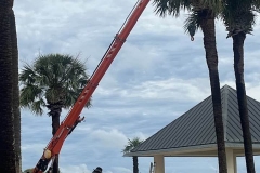 Tree-Services-by-Kaius-Landscaping-and-Construction-5