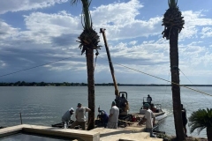 Tree-Services-by-Kaius-Landscaping-and-Construction-6