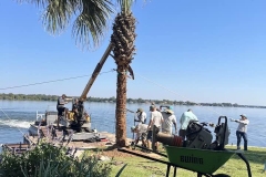 Tree-Services-by-Kaius-Landscaping-and-Construction-9