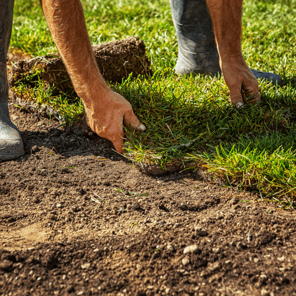 Irrigation and Landscaping by Kaius Irrigation & Construction