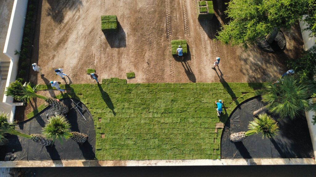 Sod Installation by Kaius Landscaping & Construction