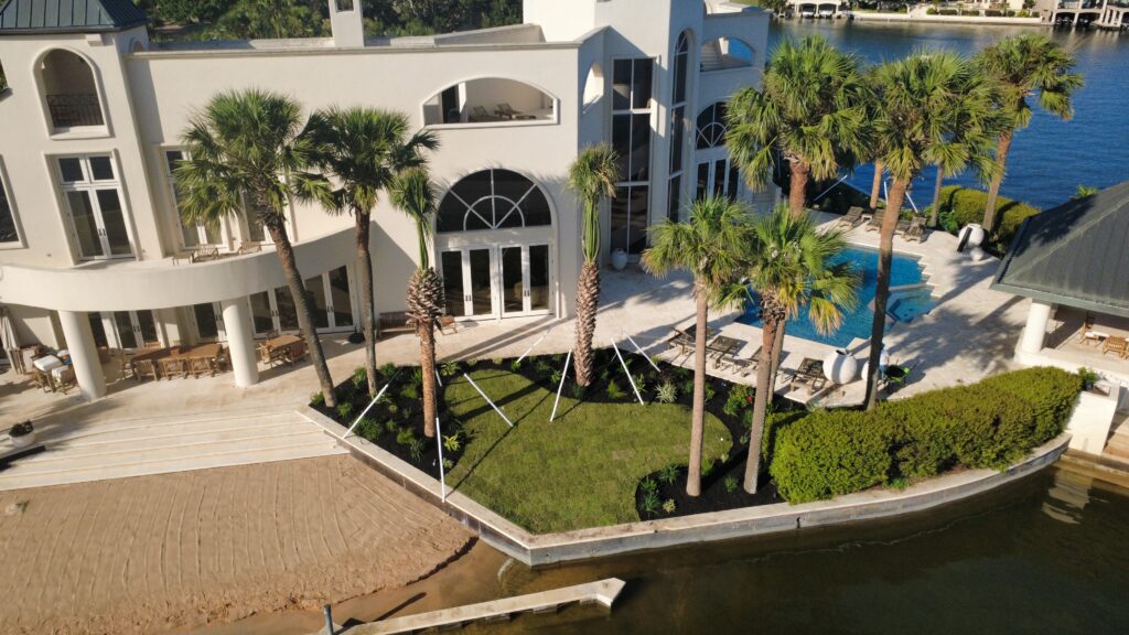 Palm Tree Installation by Kaius Landscaping & Construction