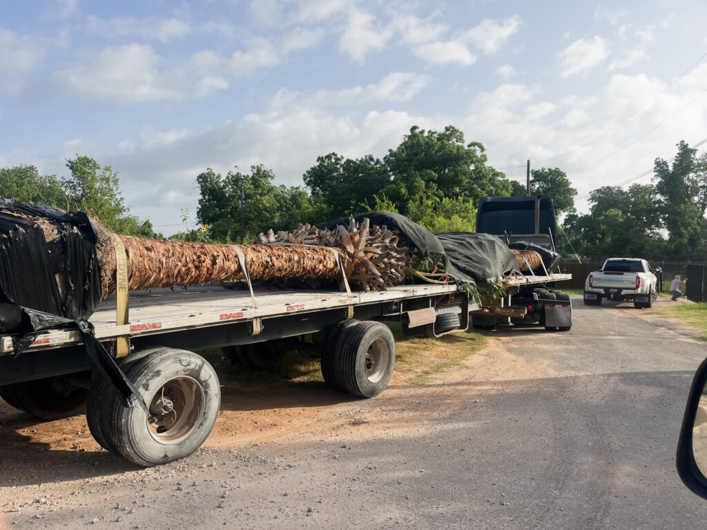 Kaius Landscaping & Construction