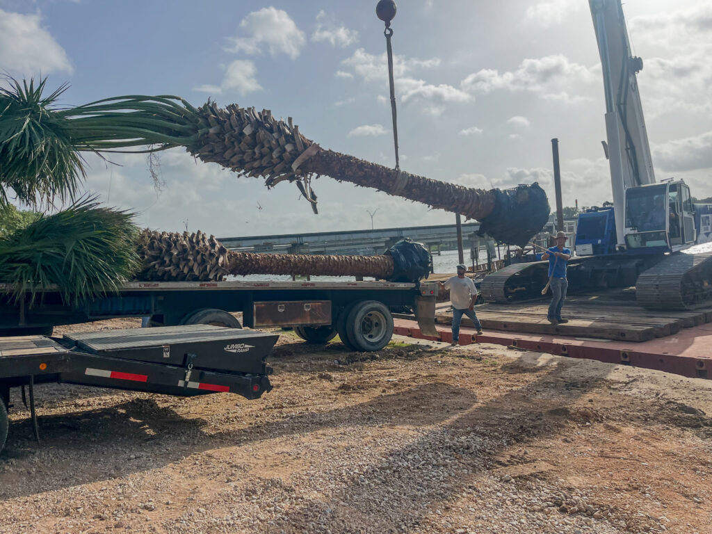 Kaius Landscaping & Construction