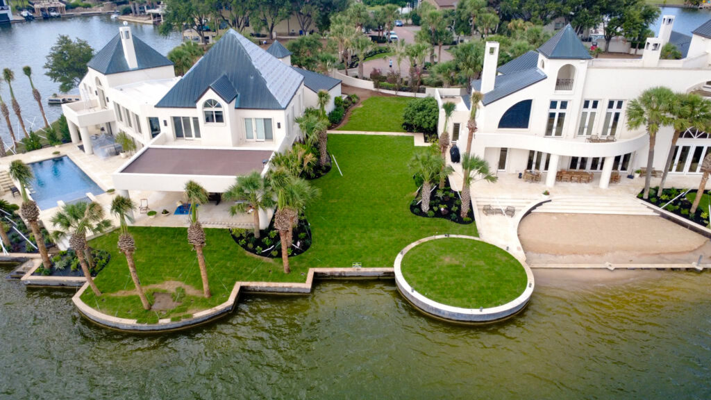 Palm Treess from Kaius Landscaping and Construction