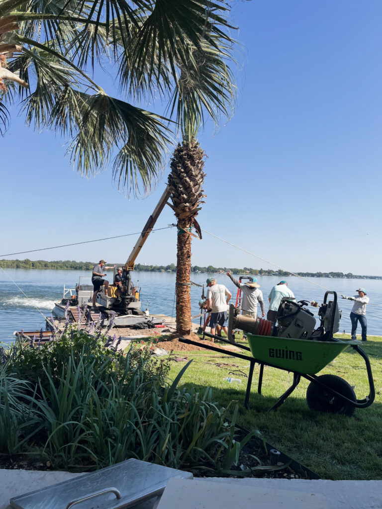 Kaius Landscaping & Construction