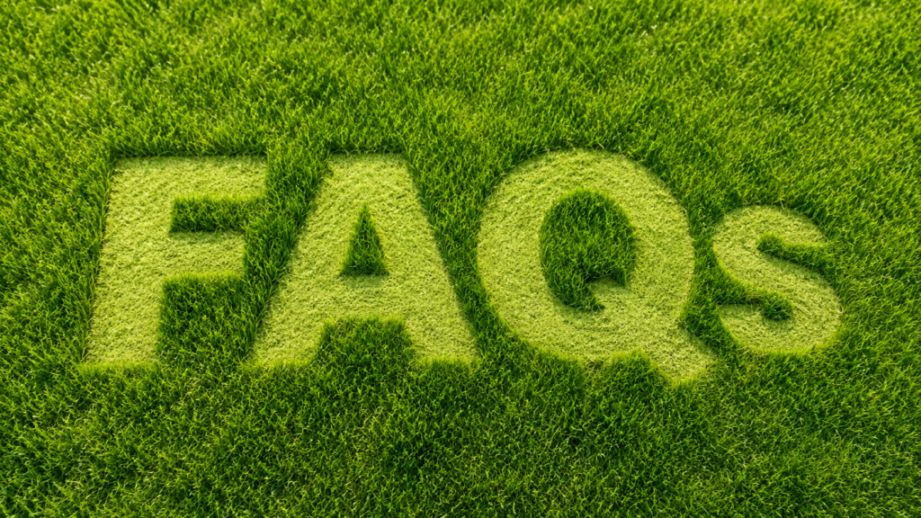FAQs