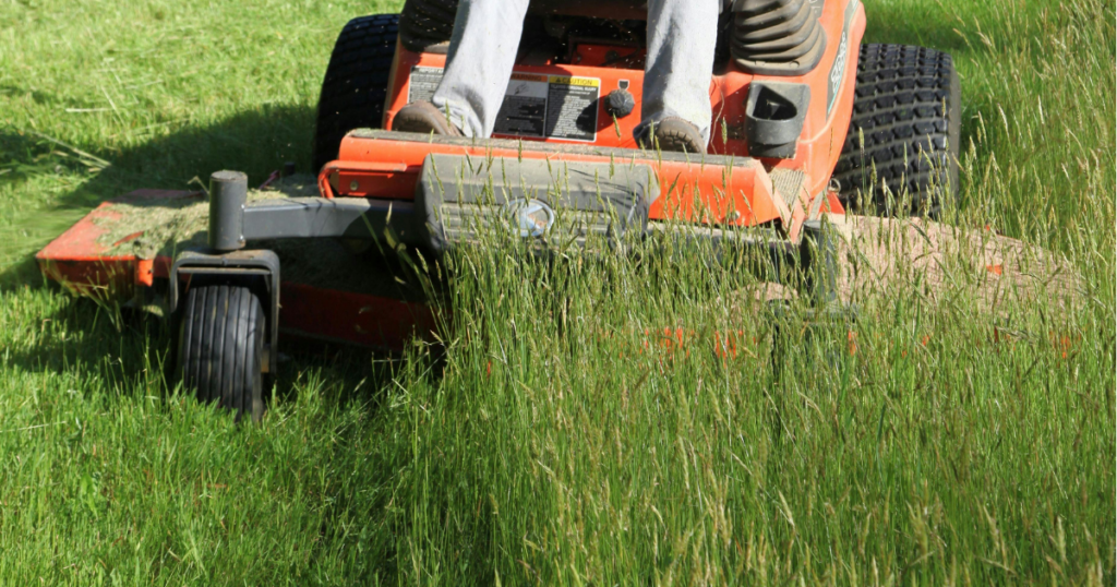 Lawn Maintenance Company
