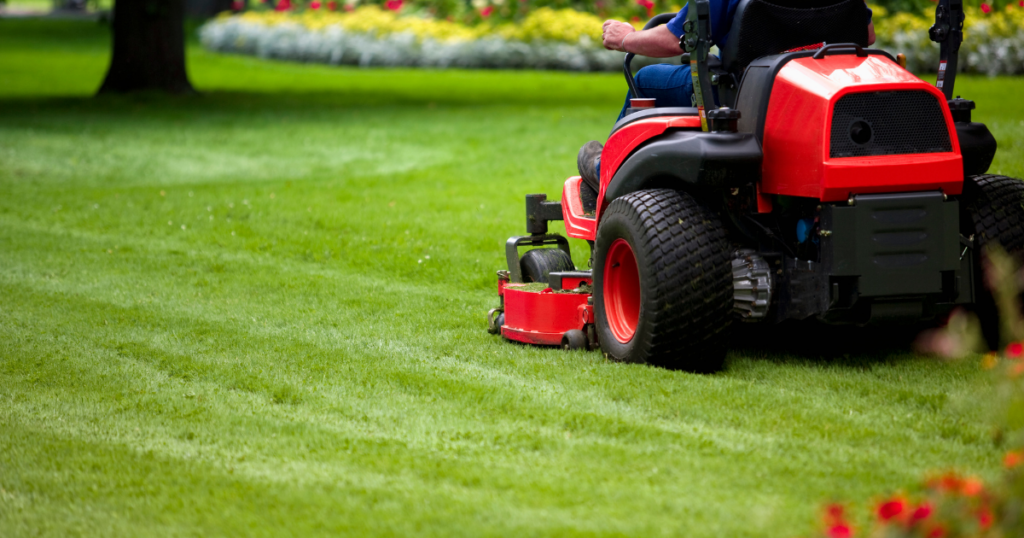Lawn Mowing Service