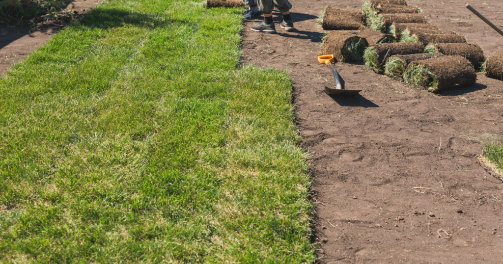 Sod Installation by Kaius Landscaping and Construction