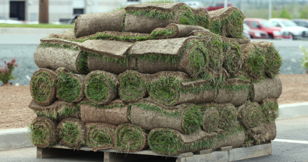 Sod Installer Kaius Landscaping and Construction