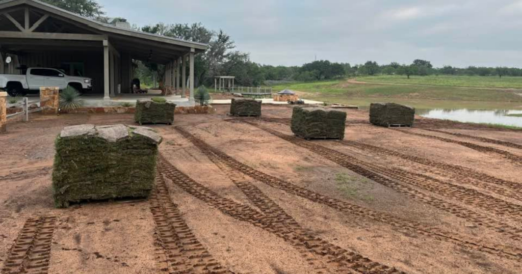 Sod Installation by Kaius Landscaping and Construction